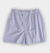 Blue & White Check Cotton Poplin Boxer Shorts