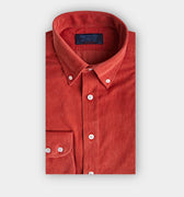 Contemporary Fit Orange Fine Corduroy Shirt with Button Down Collar & Two Button Cuff