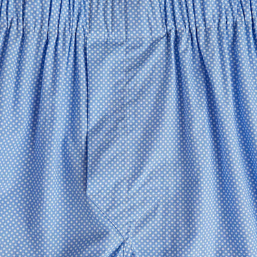 Light Blue & White Spot Cotton Poplin Boxer Shorts