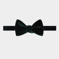 Green Silk Velvet Bow Tie